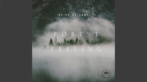 Feelings Forest Betfair