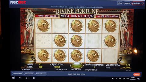 Fortune Coin Netbet