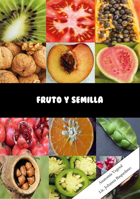 Frenesi De Fenda De Fruto