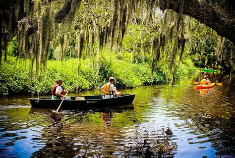 Frog Creek Brabet