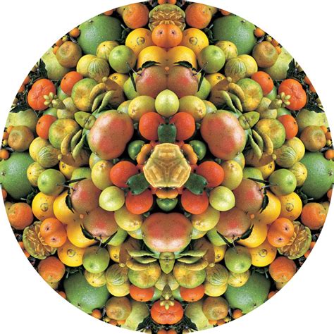 Fruits Circle Betsul