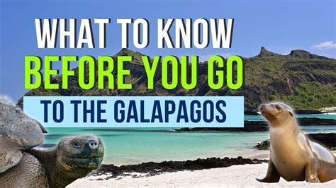 Galapagos Islands Betway