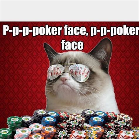 Gato Meme Poker