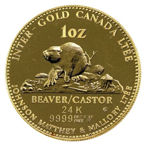 Gold Beaver Betsul