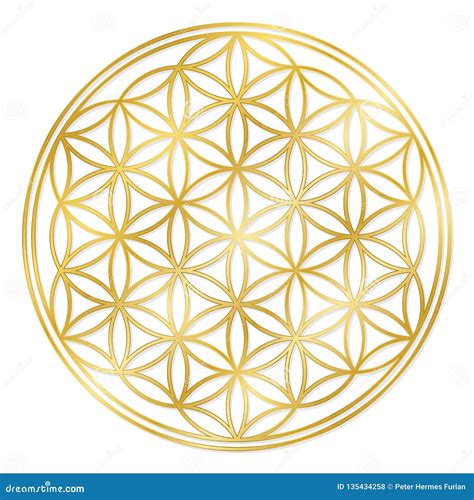 Golden Flower Of Life Bodog