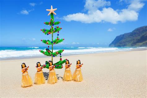 Hawaiian Christmas Brabet