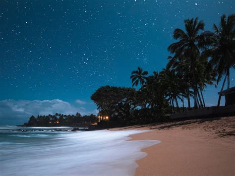 Hawaiian Night Betway