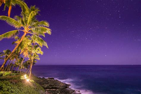Hawaiian Night Bwin