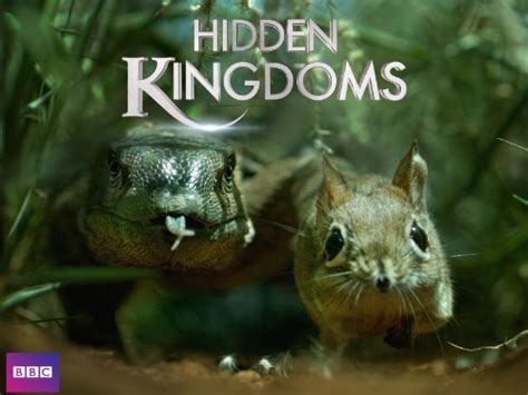 Hidden Kingdom Bet365