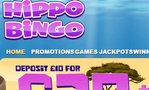 Hippy Bingo Casino Mobile