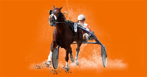 Horse Racing Betsson