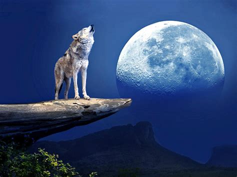 Howling At The Moon Betway
