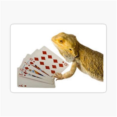 Jlizard Poker