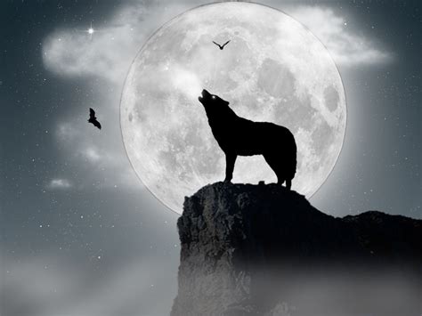 Jogar Book Of Wolves Full Moon No Modo Demo