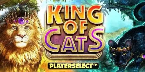 King Of Cats Megaways Review 2024