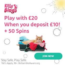 Kitty Bingo Casino Login