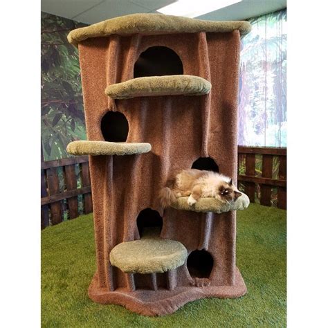 Kitty Condo Netbet