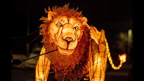 Lanterns Lions Novibet