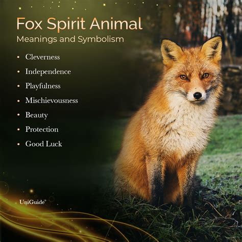 Legend Of Fox Spirit Betano