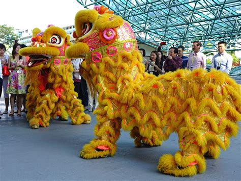 Lion Dance Red Tiger Blaze