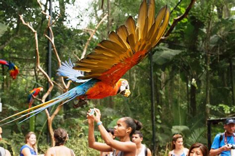 Livre De Monte Casino Parque Das Aves