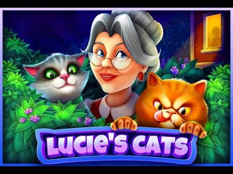 Lucie S Cats Betfair