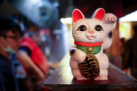 Lucky Cat Betano