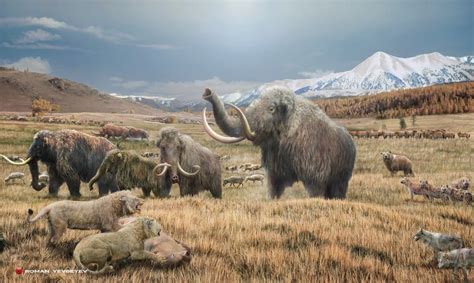 Mammoth Tundra Betano