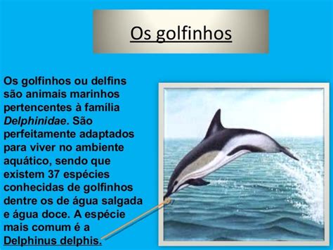 Maquina De Fenda De Golfinhos Perola