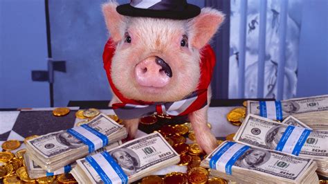 Money Pig Blaze