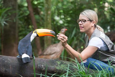 Montecasino Africa Do Sul O Parque Das Aves