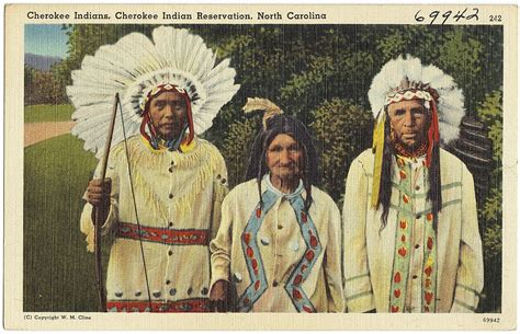 Native Indians Betano