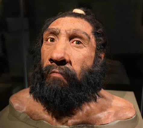 Neanderthals Betano