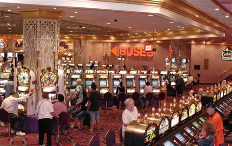 O Mais Melhor Casino Em South Florida