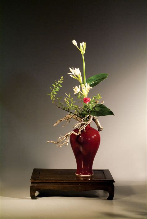 Oriental Flower 1xbet