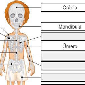 Os Ossos Casino Nocaute