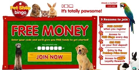 Pet Shop Bingo Casino App