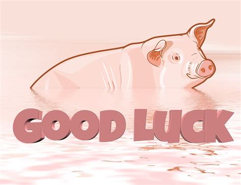 Pig Of Luck Netbet