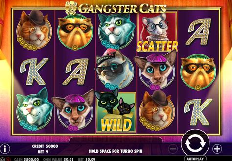 Play Cat Gangster Slot