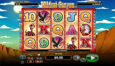 Play Wildcat Canyon Slot