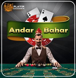 Playinexchange Casino App
