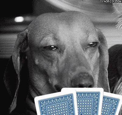 Poker Engracado Pic