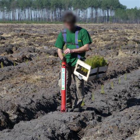 Poker Plantacao De Tubos