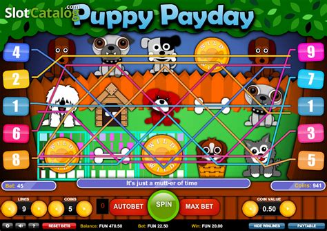 Puppy Payday Bet365