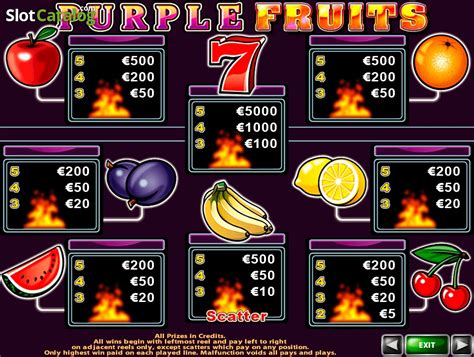 Purple Fruits Review 2024
