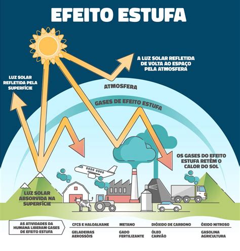 Qual O Efeito Que O Jogo Tem No Estado E A Economia Local