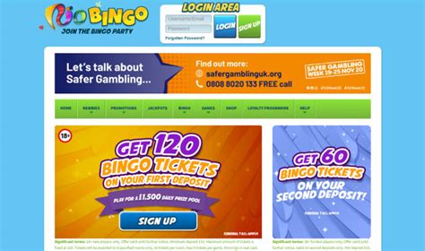 Rio Bingo Casino Login