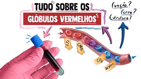 Roleta Formacao De Globulos Vermelhos