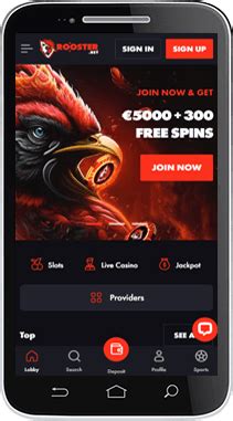 Rooster Bet Casino Mobile