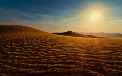 Sahara Sun Betsul